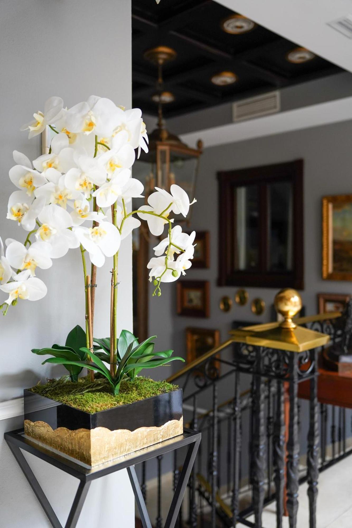 Hotel Boutique Casa Veracruz Естепона Екстериор снимка